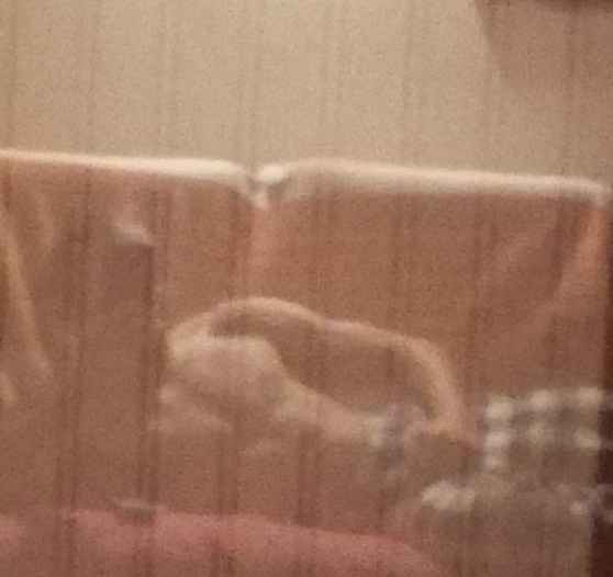 Talip - Bouveret - Valais | Rencontre Discrète